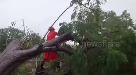 NDRF Officials Begin Restoration Work After Cyclone Biparjoy Hit Lakhpat, India