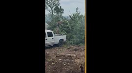 Me and my friend are doing land clearing and as he is adding diesel to the fire, the flames go up and almost melt his truck