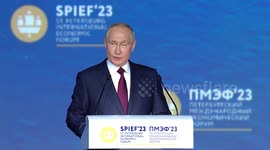 Russia maintains economic stability despite challenges: Putin