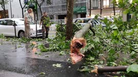 Huge wind in Paris: Branchs fall on Legion soldiers car in Paris. Boulevard des Capucines, 18 june 2023