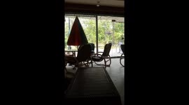 Free Moments with Beautiful View