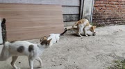 temp