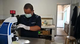 Lanai Animal Husbandry Company Farm Operates In Zhangjiakou, China