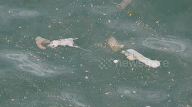 Thames Water and other utilities  face financial crisis. Newquay Cornwall UK