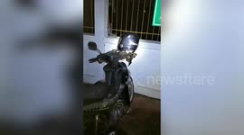 Large python found hiding inside helmet left hanging on motorcycle