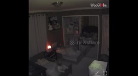 Energetic toddler's early morning shenanigans end with him getting flipped over his bed