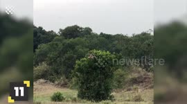 Incredible Nature is Amazing Moments