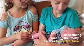 Adorable Sibling Moments