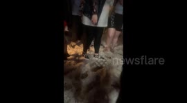 100 fans injured at Louis Tomlinson's concert as hail hits Colorado, US