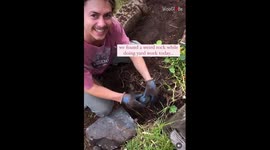 Couple finds a beautiful egg-like crystal while gardening their lawn