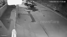 Herd of Cows Scare Away Tiger Which Crept into Bull Farm in Bhopal, India