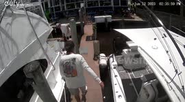 Six-year-old enchanted by boat succumbs to distraction and plunges into water in Avon Park