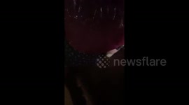 Golf-ball size hail covers amphitheatre during Louis Tomlinson's concert in Colorado, US