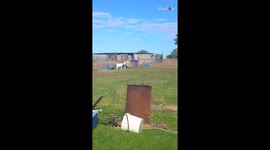 Man trying to mess with goats gets LAMBUSHED by a mischievous sheep