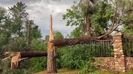 Tornado touches down in Highlands Ranch, US, leaving significant damage