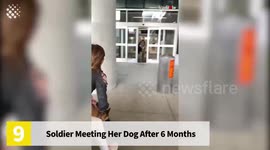 10 Best Moments Coming Home to your Dog