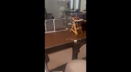 Oatmeal Everywhere Except Mouth