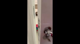 Cats in Cute Costumes