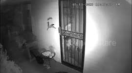 Walking Ghost…. Trinity!