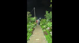 Tree Fair is being celebrated in Bangladesh.  Which starts from the first of April every year.  There are thousands of different types of trees such as fruits, herbs, flowers.