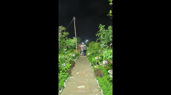 Tree Fair is being celebrated in Bangladesh.  Which starts from the first of April every year.  There are thousands of different types of trees such as fruits, herbs, flowers.