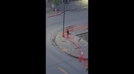 Seagulls Divebomb Pedestrians At Intersection