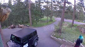 Tripping and falling down stairs