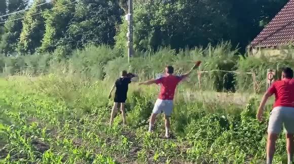 Fans cheer on rally cars, but their idol goes off the rails. watch their response