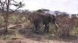 Rwanda promotes quality, safe hotel dining to enhance tourist experience