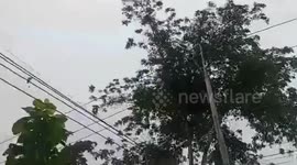 Paraglider plunges from sky 'due to engine failure'