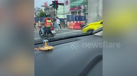 Pair of smart dogs use zebra crossing on road in Thailand