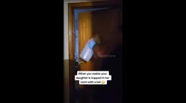 When you realize your daughter is trapped in a room with a bat!