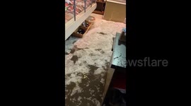 Hail float inside flooded grocery store in County Wexford, southeastern Ireland