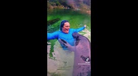 DON'T MISS: Special moment baby manatee hugs woman