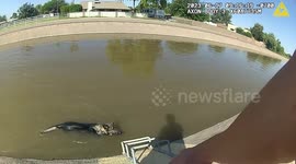 Police officers rescue dog trapped in canal using freshly-baked pumpkin muffins as bait