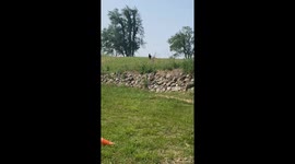 Donkey Has Something Urgent To Say