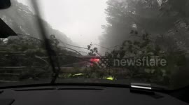 SUV narrowly misses collision with toppling tree in China