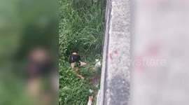 Pet owner climbs over high wall to save his two stranded pet cats