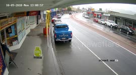 Dog runs off with flag pole