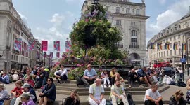 Floral installation decorates Piccadilly Circus