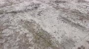 temp