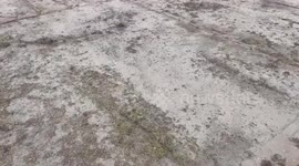 Hundreds Of People Gather Together in The Square To Support Farmers in The Hague, Netherlands