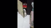 temp