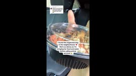 Rescuing hope: a compassionate encounter with an abandoned dog in Los Angeles