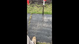 Witnessing Police Catch Stolen Car