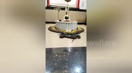 A miracle Snake wrapped around Shivling in Bisra, Ordisha for an hour, crowd thronged to visit