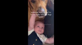 Mum reveals the special bond between her baby and Labrador which makes them like BROTHERS PART 1/2