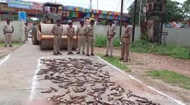 Illegal weapons destroyed by roller in Datia, Madhya Pradesh, India