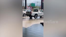 Snake sparks panic as it slithers into car showroom
