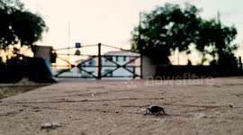 shot realized in menorca, Catalonia 1 2022